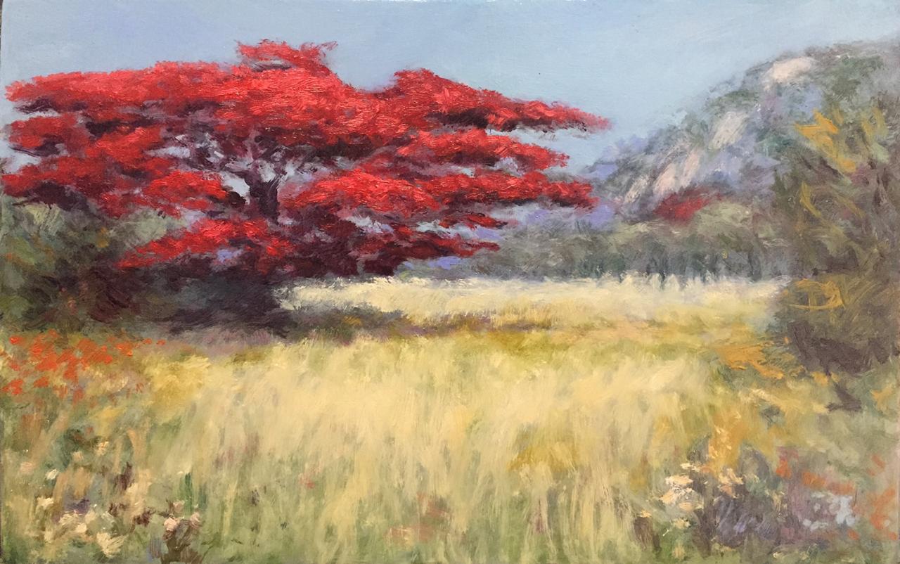 Painting of a tree in red bloom in the veld with a hill in the background.