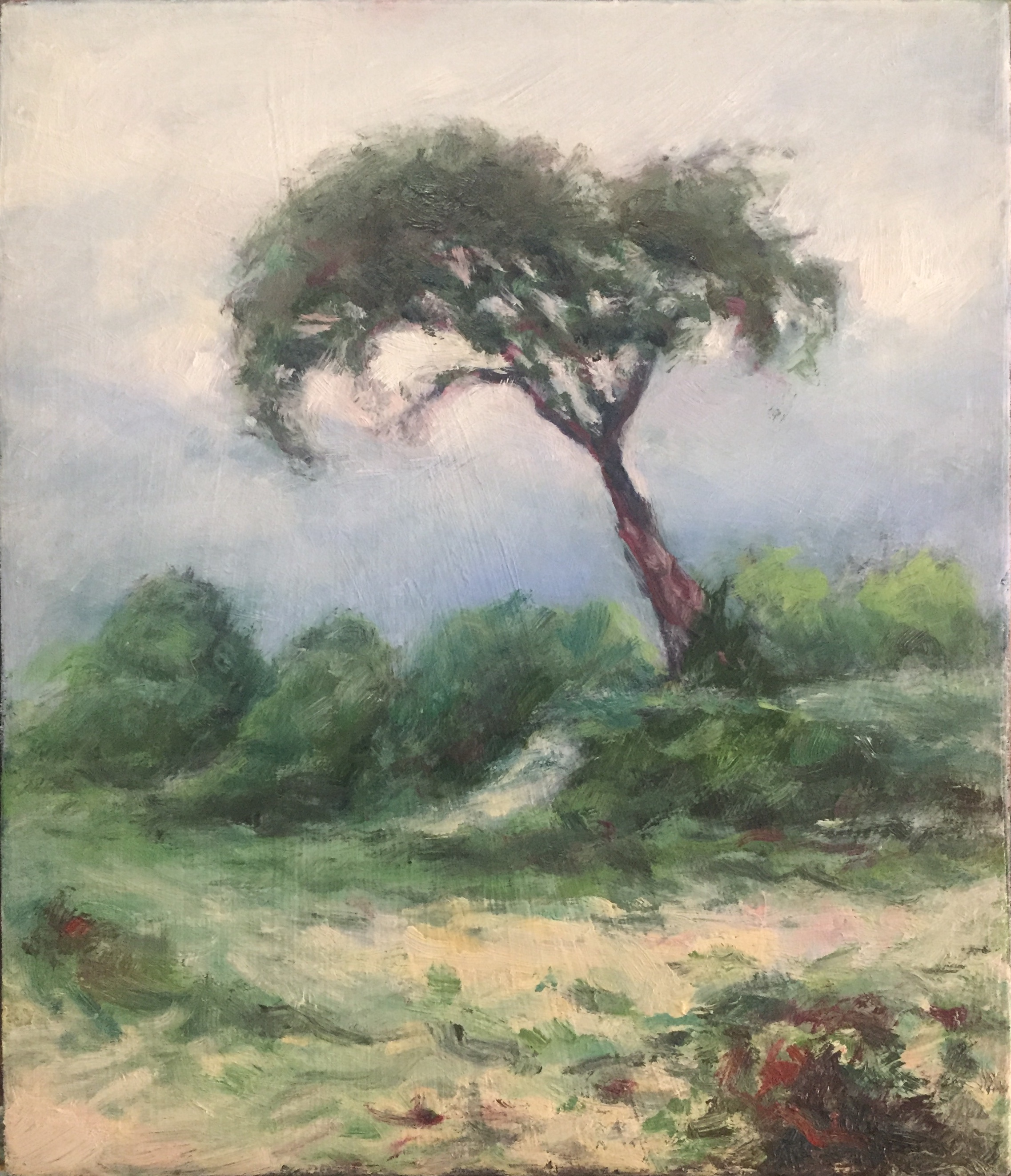 Painting of a single tree leaning over to the left drawing the eye to small bushes in the foreground.